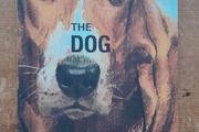 How it Works: The Dog - Ladybird For Grown-Ups