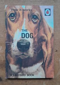 How it Works: The Dog - Ladybird For Grown-Ups