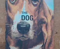 How it Works: The Dog - Ladybird For Grown-Ups