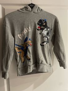 Hoodie jumper with dinosaur grey 10 y