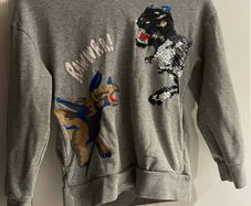 Hoodie jumper with dinosaur grey 10 y