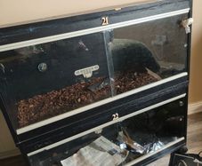 Vivarium