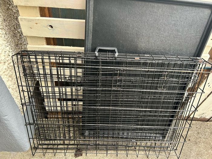 dog crate