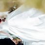 Wedding dress Image 4