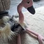 Rare and Retired Romanda Ostrich Jellycat Image 2