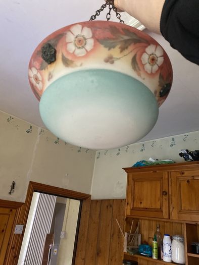 Antique vintage light shade fly catch