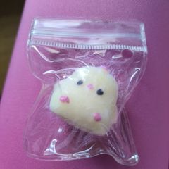 Squishy Taba Ducks