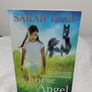 Sarah Lean Story Books Image 5