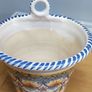 Cuban Oregano Plant with ceramic pot Image 9
