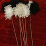feathers Image 3