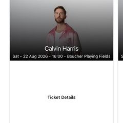 Calvin Harris Belfast Boucher Playing Fields x1