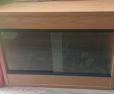 vivarium