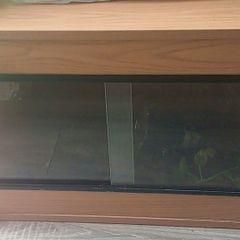 vivarium