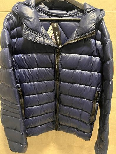 canada goose