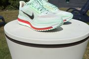 Nike Pegasus Premium