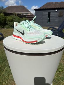 Nike Pegasus Premium