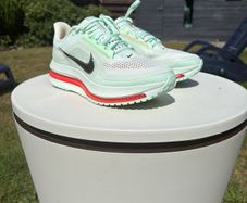 Nike Pegasus Premium