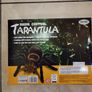 Radio Control Tarantula Spider - Children's Remote Control Toy For Those Scary Moments - Great Christmas or Birthday Present Image 8