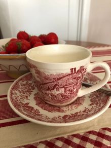 Vintage Royal Tudor Ware "Olde England" Pink / Red Transferware Teacup & Saucer Set