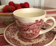 Vintage Royal Tudor Ware "Olde England" Pink / Red Transferware Teacup & Saucer Set