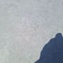 tiles Image 2