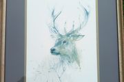 'Royal Stag' Watercolour Signed Mads Stage