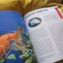 Goldfish -A Complete Pet Owners Manual Image 5