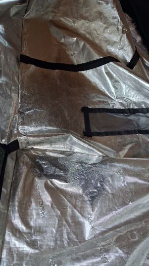 PAIR X2 Mars Hydro 120x120x200 Grow Tents