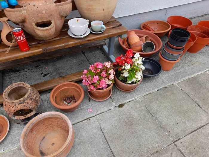 Garden pots  n items clearout
