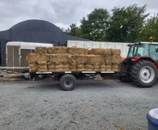 small square bales