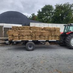 small square bales