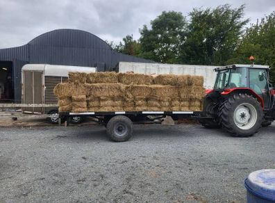 small square bales