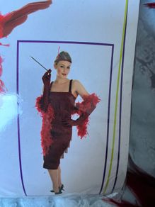 Roaring 20s Dress & Feather Stole