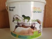 Better Horse Care Seaweed