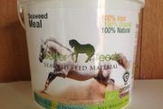Seaweed Horse Supplements