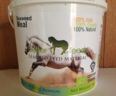 Seaweed Horse Supplements