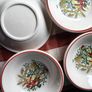 Vintage Pasta Bowl set Image 6