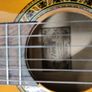 2017 Valenica Electro Nylon Model CG178CE Image 3