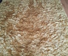 rug