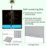 Set of 2 Garden Raised Bed with Self-watering Disc, Elevated Planter Box, PP Vegetables Planting Container, Grey Image 5