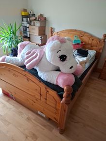 large stuffed animal - FREE