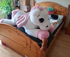 large stuffed animal - FREE