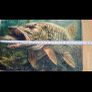 Pike 3D mat fishing Image 5