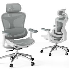 Sihoo Doro C300 Ergonomic Lumbar Support Office Chair