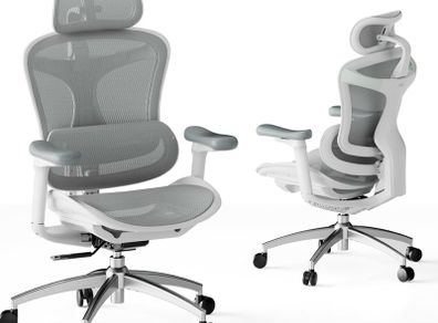 Sihoo Doro C300 Ergonomic Lumbar Support Office Chair