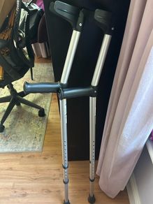 Walking sticks