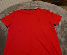 mens tommy hilfiger t shirt