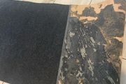durable carpet