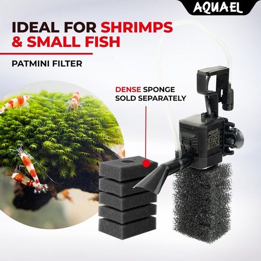 Aquael Pat Mini With Extra Sponge