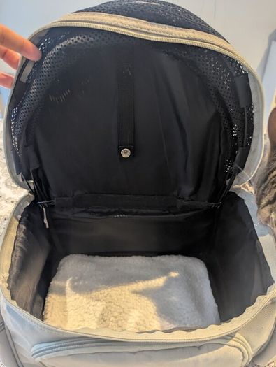Sightseer Backpack Pet Carrier